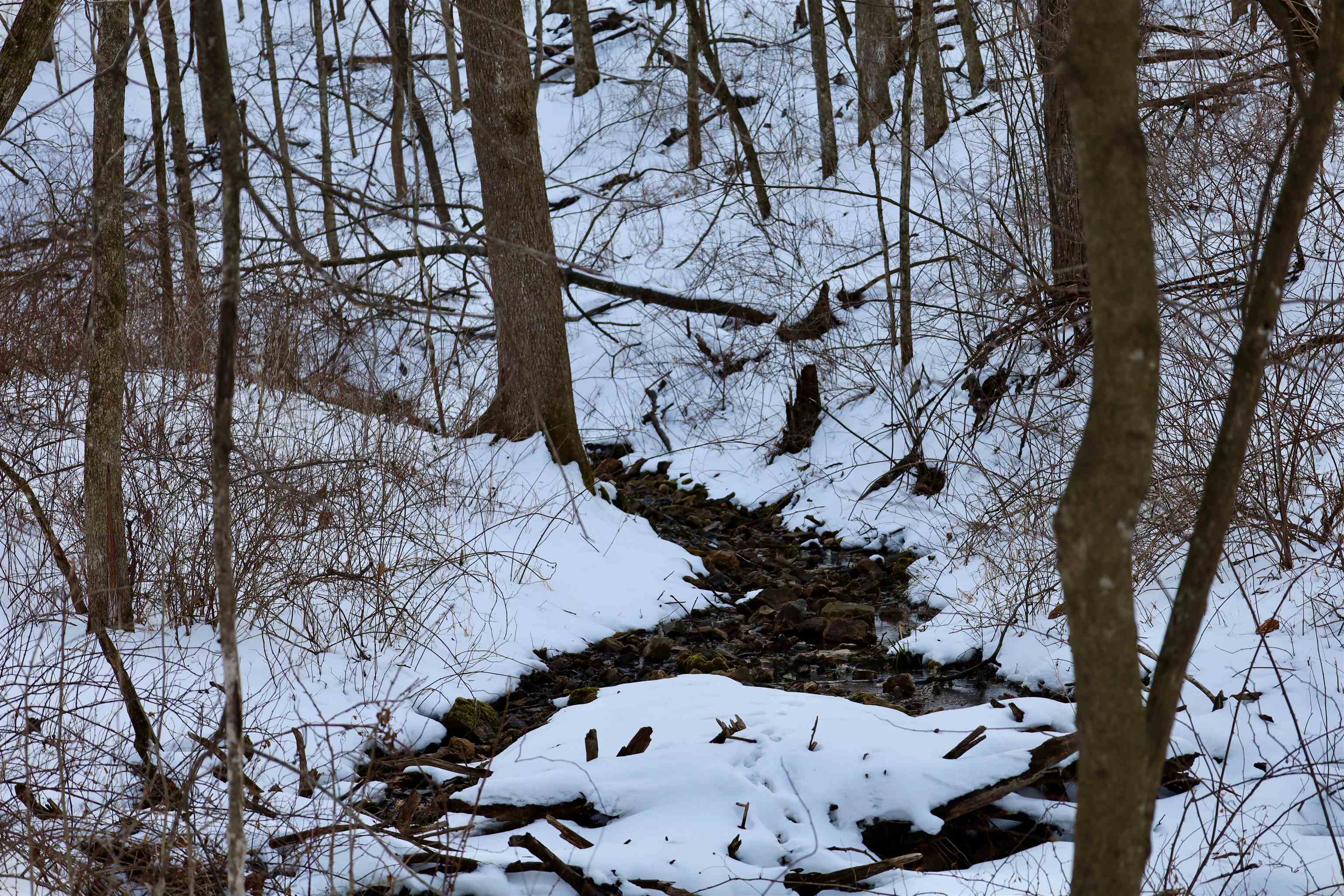 Tbd Wheat Hollow Road Cazenovia, WI 53924 - Photo 35 of 52