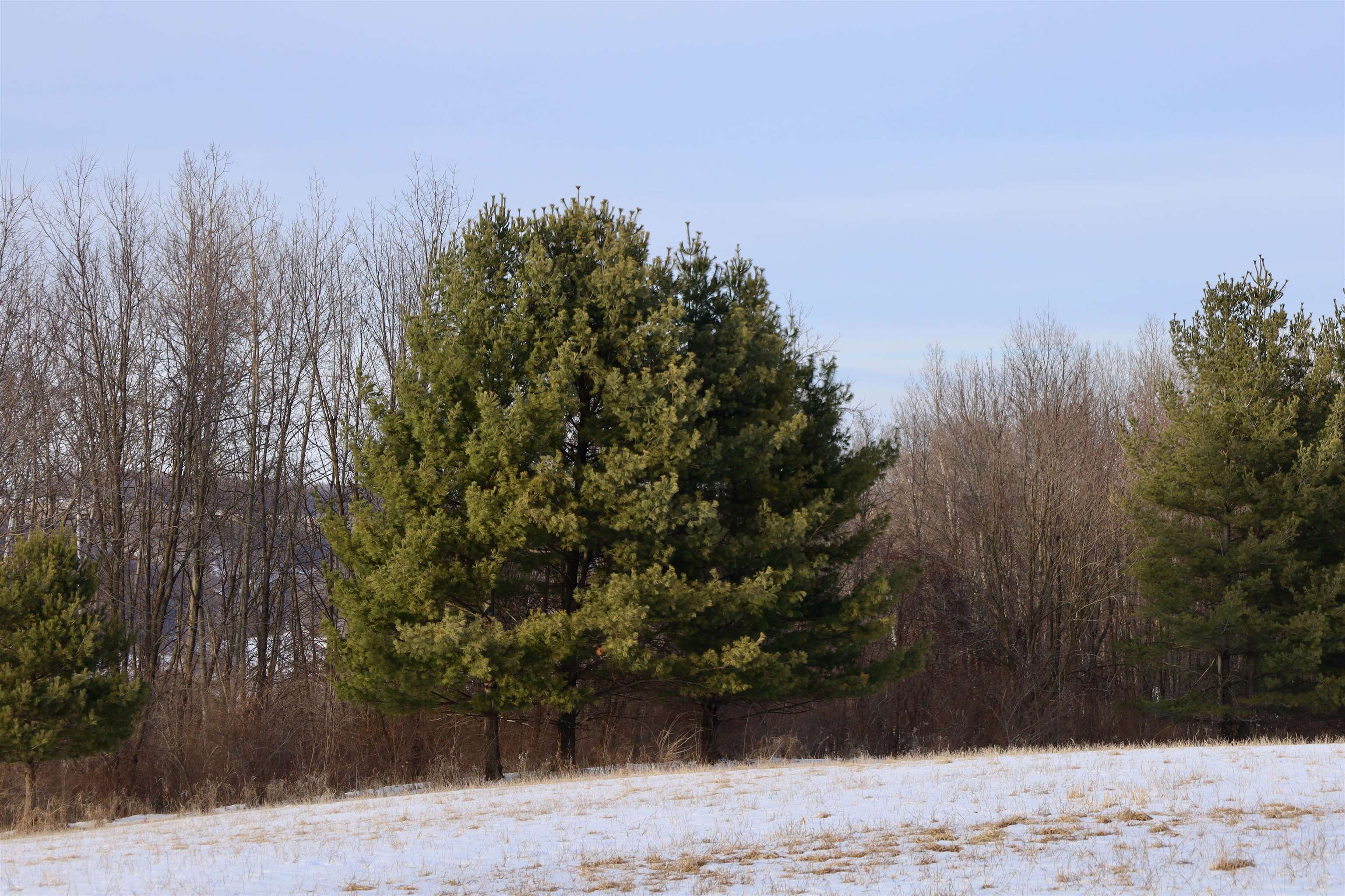 Tbd Wheat Hollow Road Cazenovia, WI 53924 - Photo 37 of 52