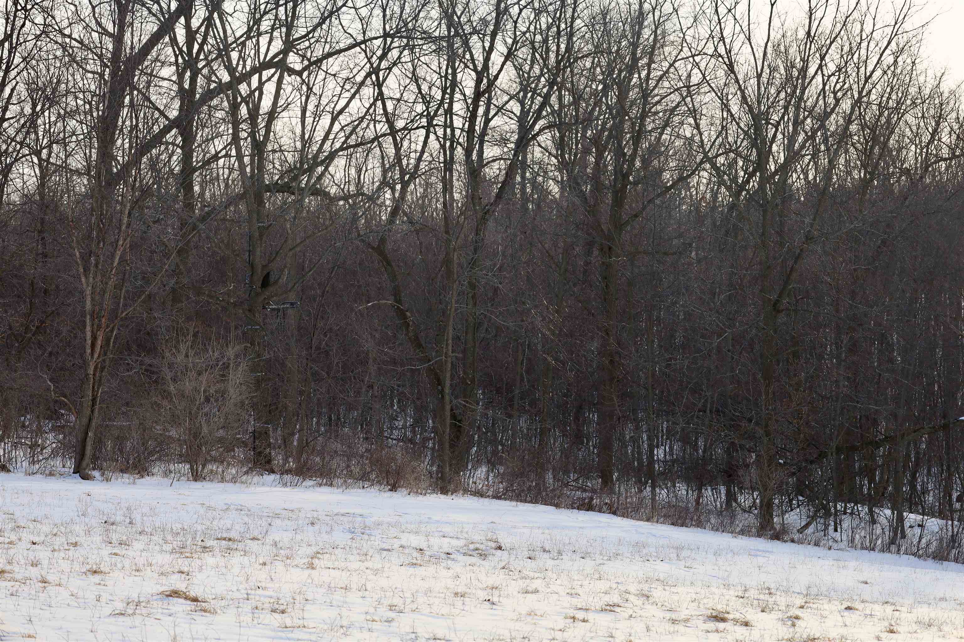 Tbd Wheat Hollow Road Cazenovia, WI 53924 - Photo 39 of 52