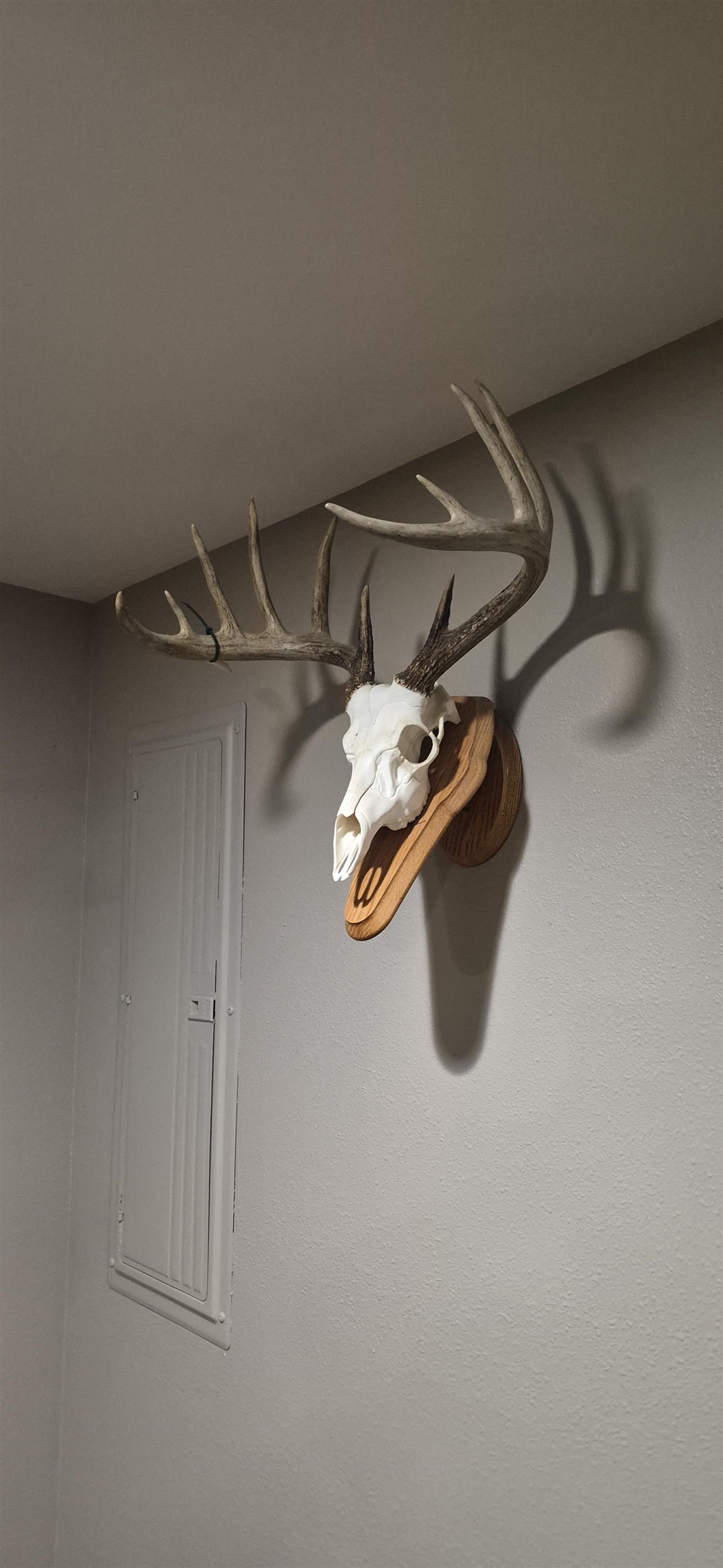 Tbd Wheat Hollow Road Cazenovia, WI 53924 - Photo 48 of 52