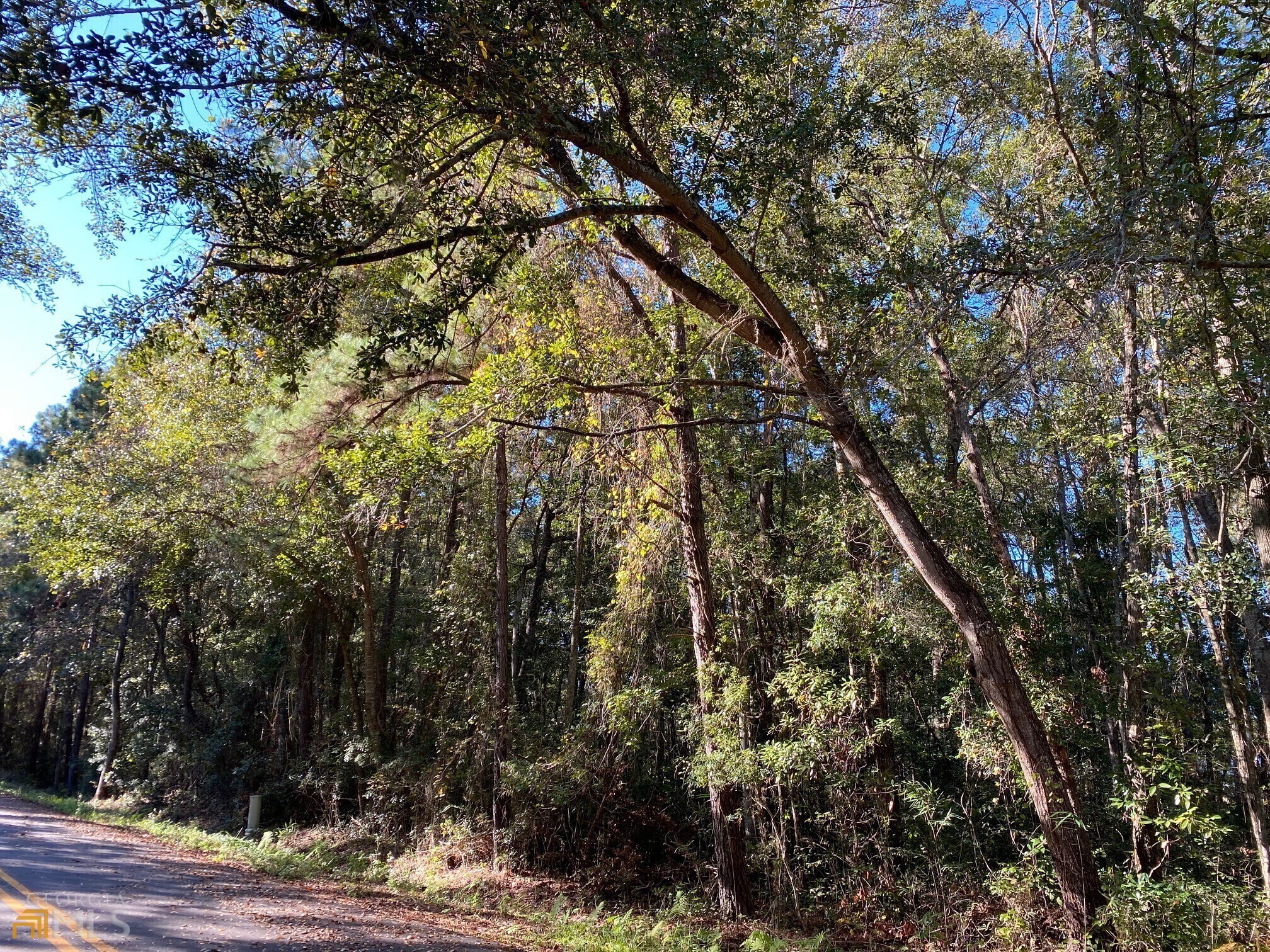 Lot 52-53 Wren Road Kingsland, GA 31548 - Photo 1 of 1 Gallery Image 1