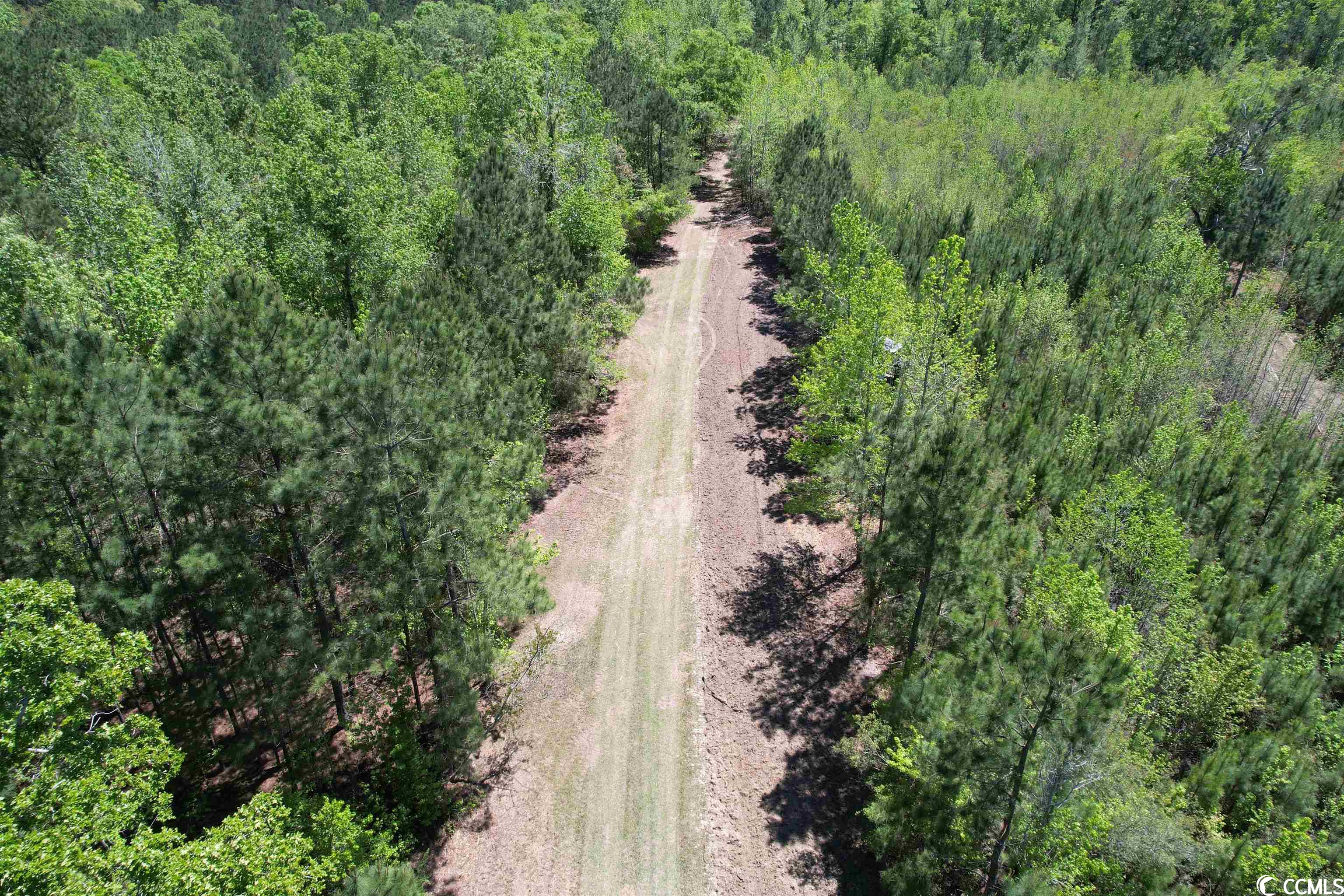 Tbd Santee Road Lane, SC 29564 - Photo 28 of 32 Gallery Image 28