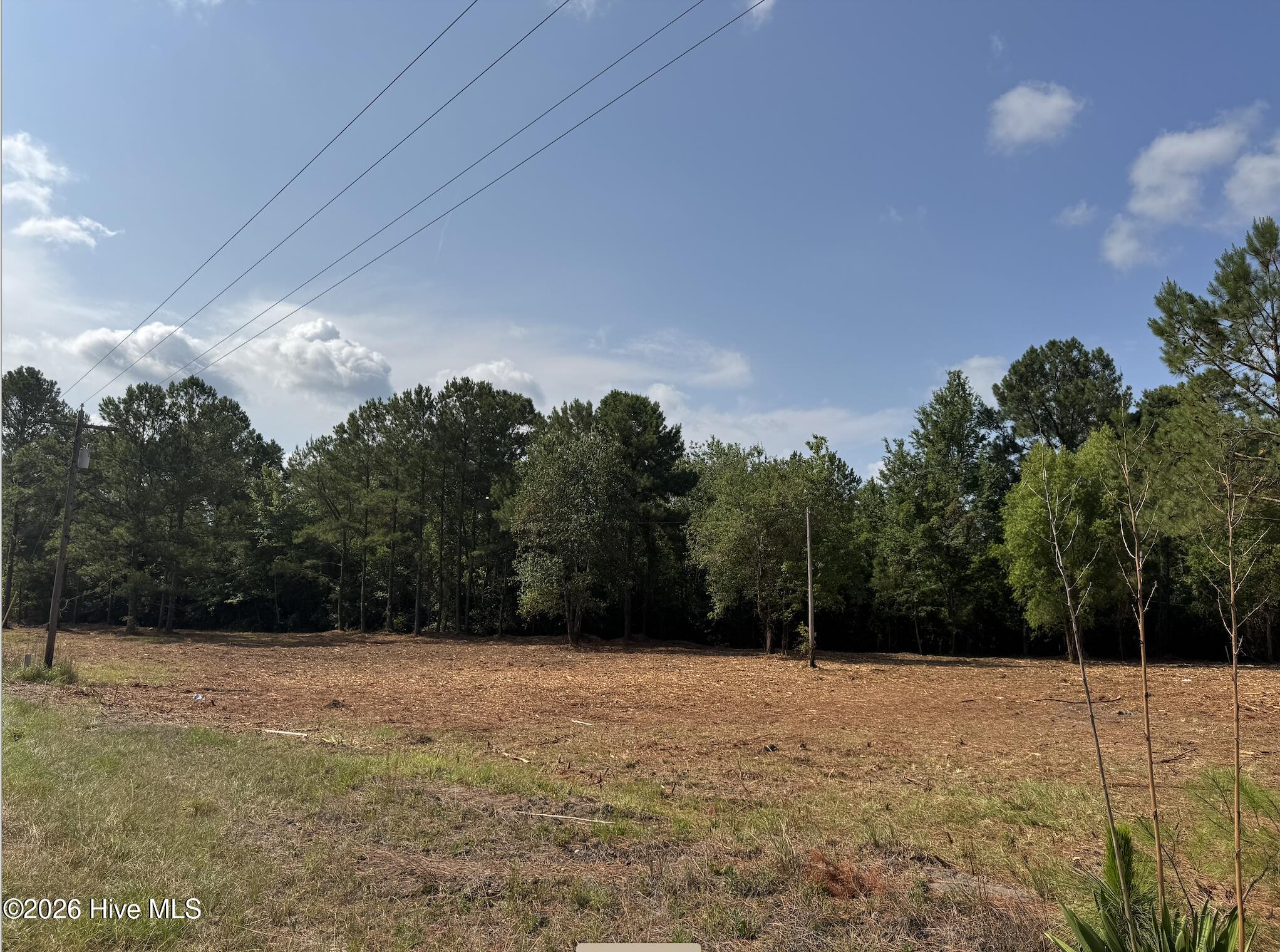 1187 Green Hill Road Northeast Leland, NC 28451 - Photo 2 of 8
