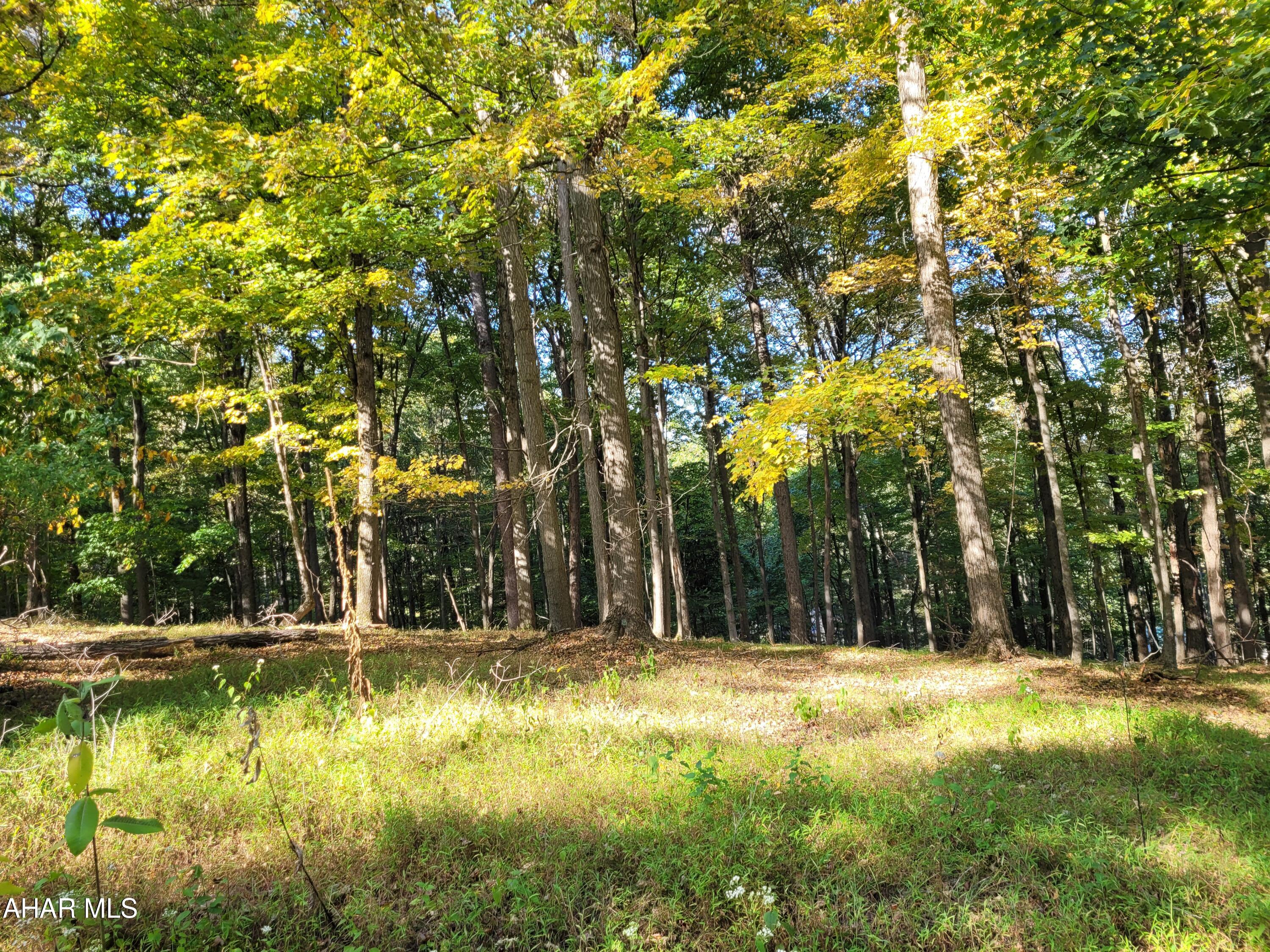 T180 Christopher Road Flinton, PA 16640 - Photo 1 of 3