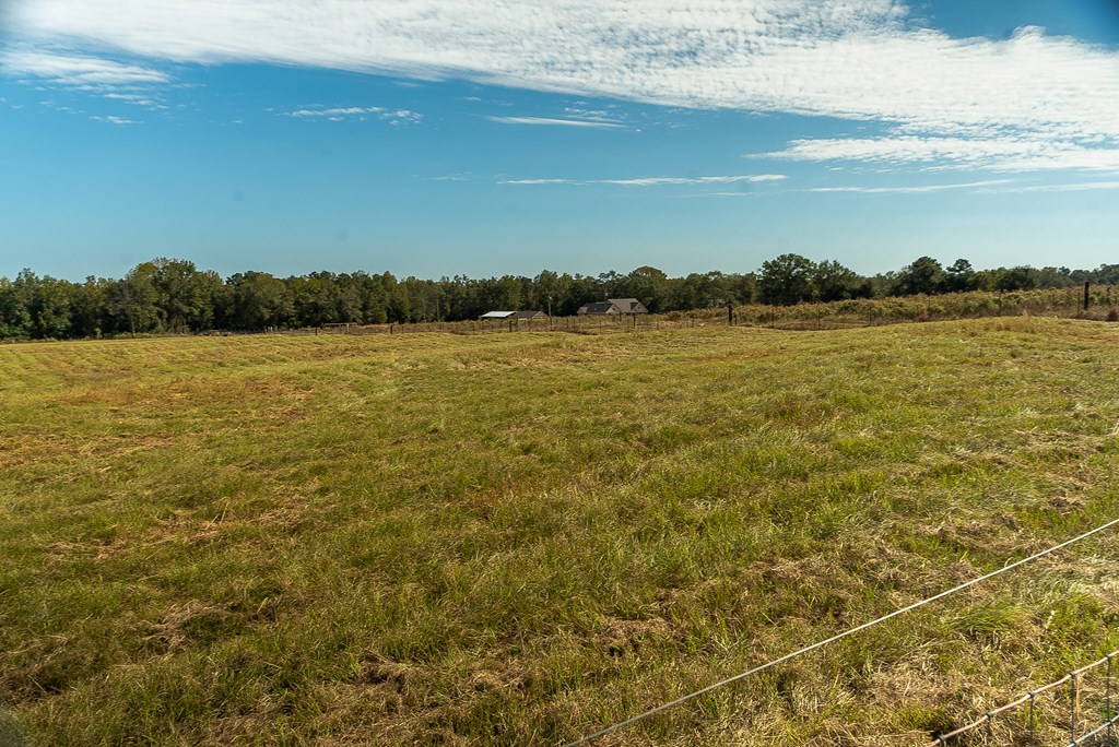 0 J B J B Jackson Road Webb, AL 36376 - Photo 26 of 38