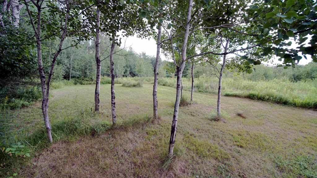 193 Laskey Road Houlton, ME 04730 - Photo 79 of 90 193-laskey-rd-ludlow-16