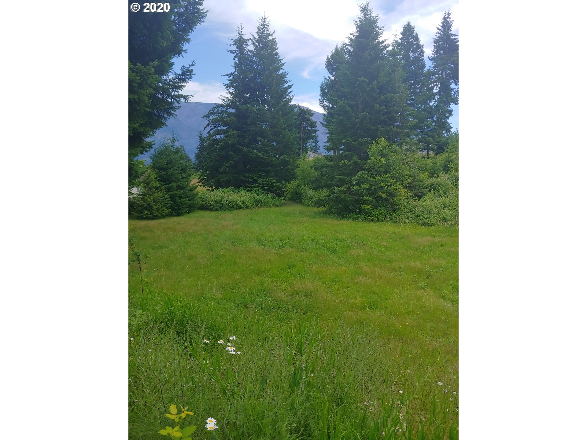 1070 Northwest Iman Loop Road, Unit 33 Stevenson, WA 98648 - Photo 3 of 4