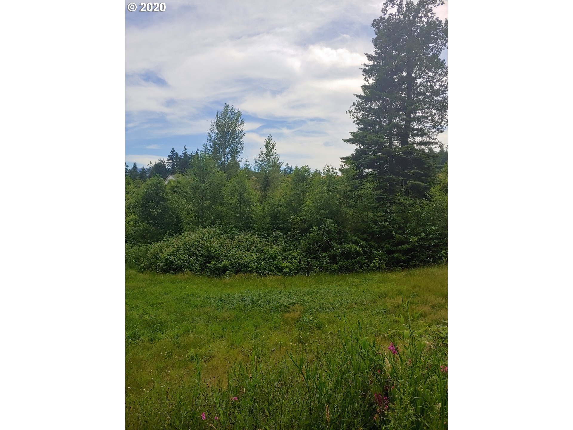 1070 Northwest Iman Loop Road, Unit 33 Stevenson, WA 98648 - Photo 4 of 4