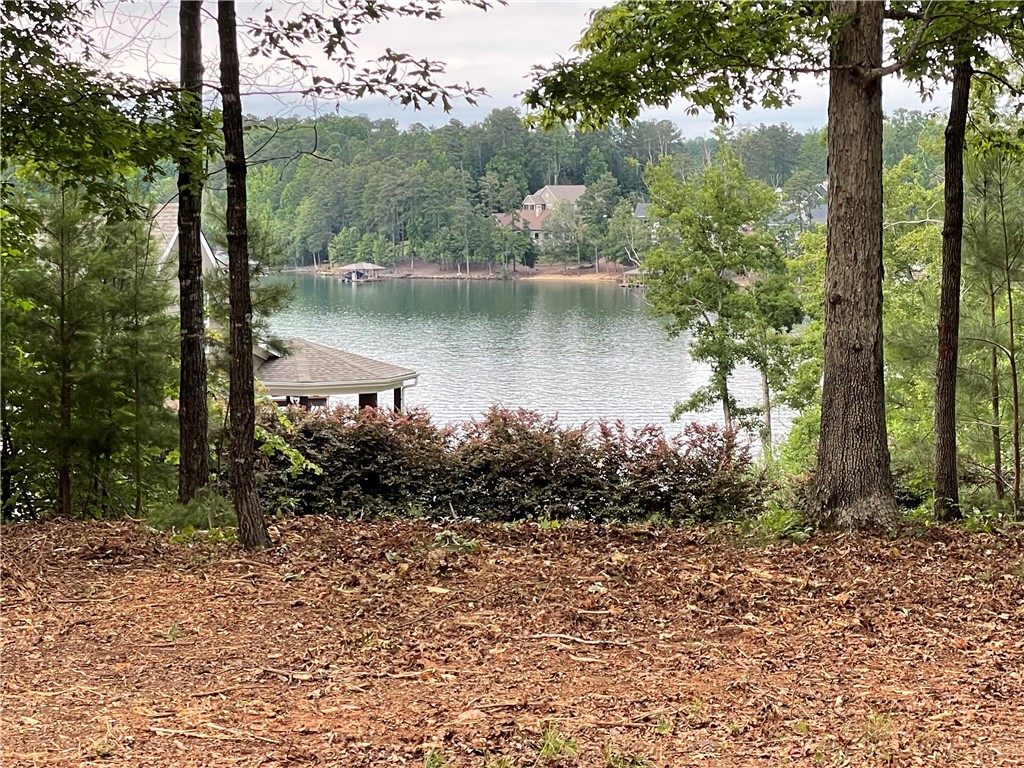 Lot 1 Deep Water Way West Union, SC 29696 - Photo 1 of 25 North facing views across McAlister Rd