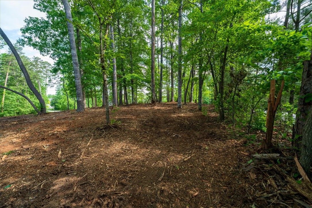 Lot 1 Deep Water Way West Union, SC 29696 - Photo 11 of 25