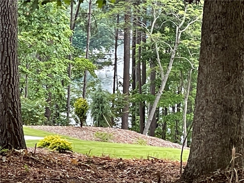 Lot 1 Deep Water Way West Union, SC 29696 - Photo 20 of 25