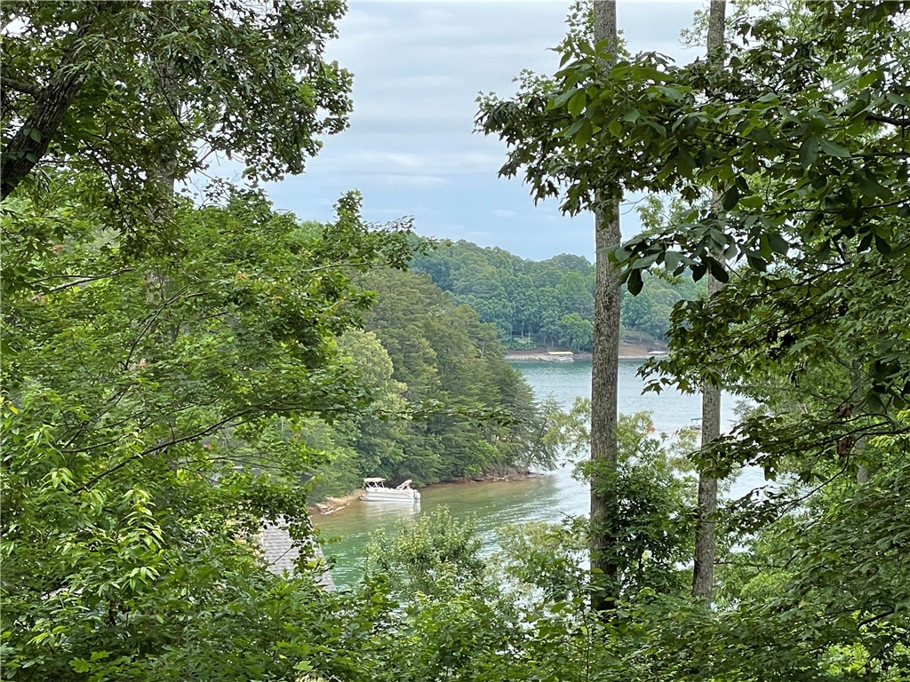 Lot 1 Deep Water Way West Union, SC 29696 - Photo 2 of 25 East facing views of Island toward main channel
