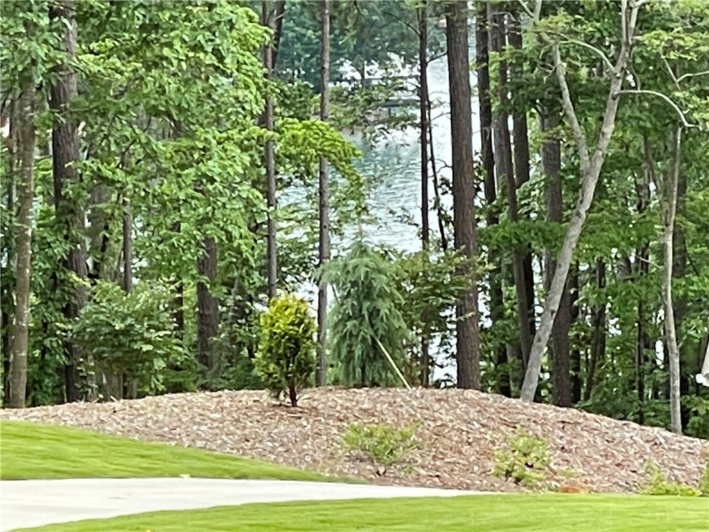 Lot 1 Deep Water Way West Union, SC 29696 - Photo 21 of 25