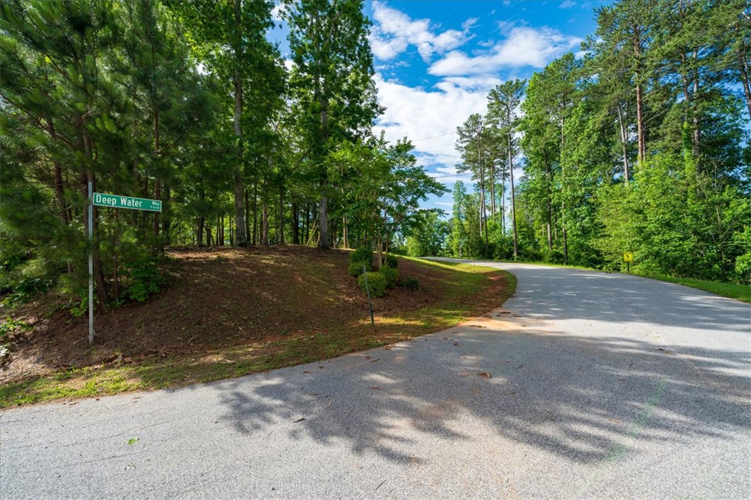 Lot 1 Deep Water Way West Union, SC 29696 - Photo 5 of 25