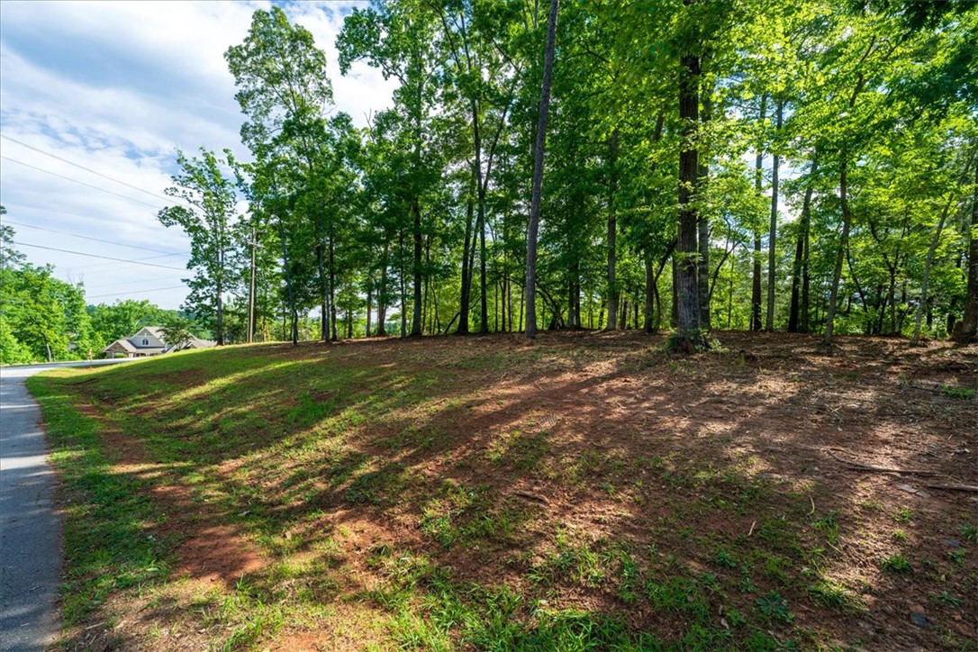 Lot 1 Deep Water Way West Union, SC 29696 - Photo 6 of 25