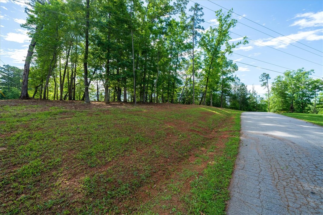 Lot 1 Deep Water Way West Union, SC 29696 - Photo 7 of 25
