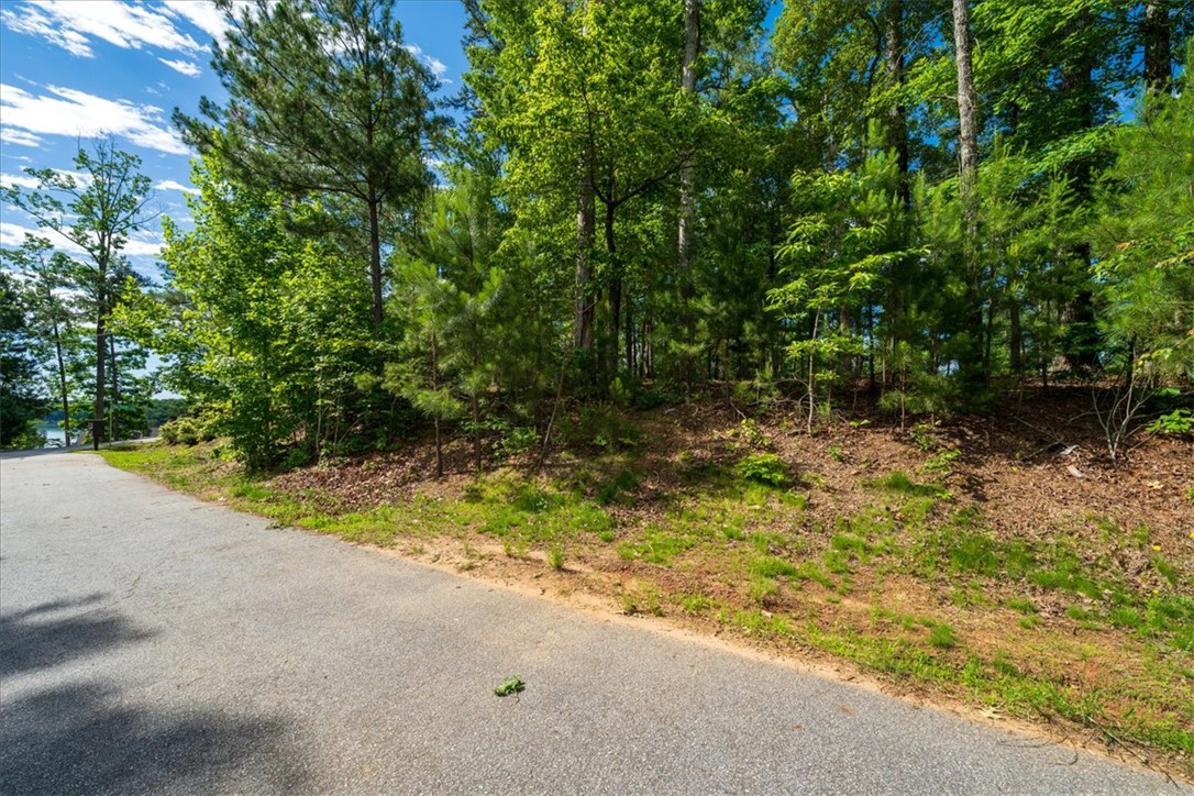 Lot 1 Deep Water Way West Union, SC 29696 - Photo 8 of 25