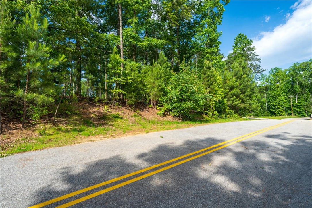 Lot 1 Deep Water Way West Union, SC 29696 - Photo 9 of 25