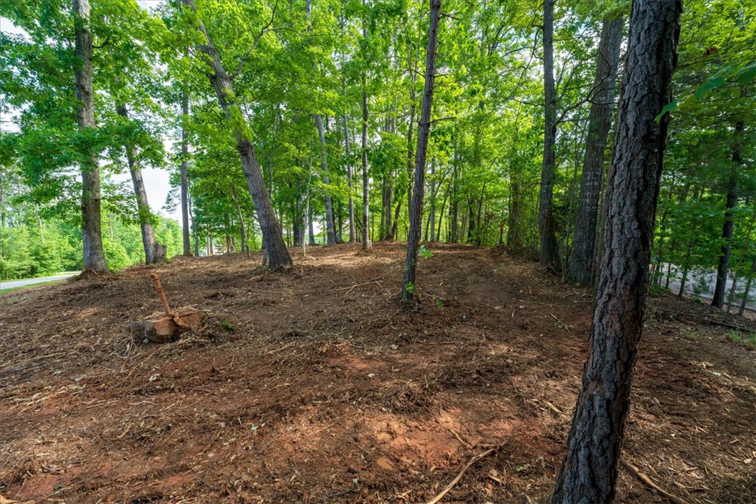 Lot 1 Deep Water Way West Union, SC 29696 - Photo 10 of 25