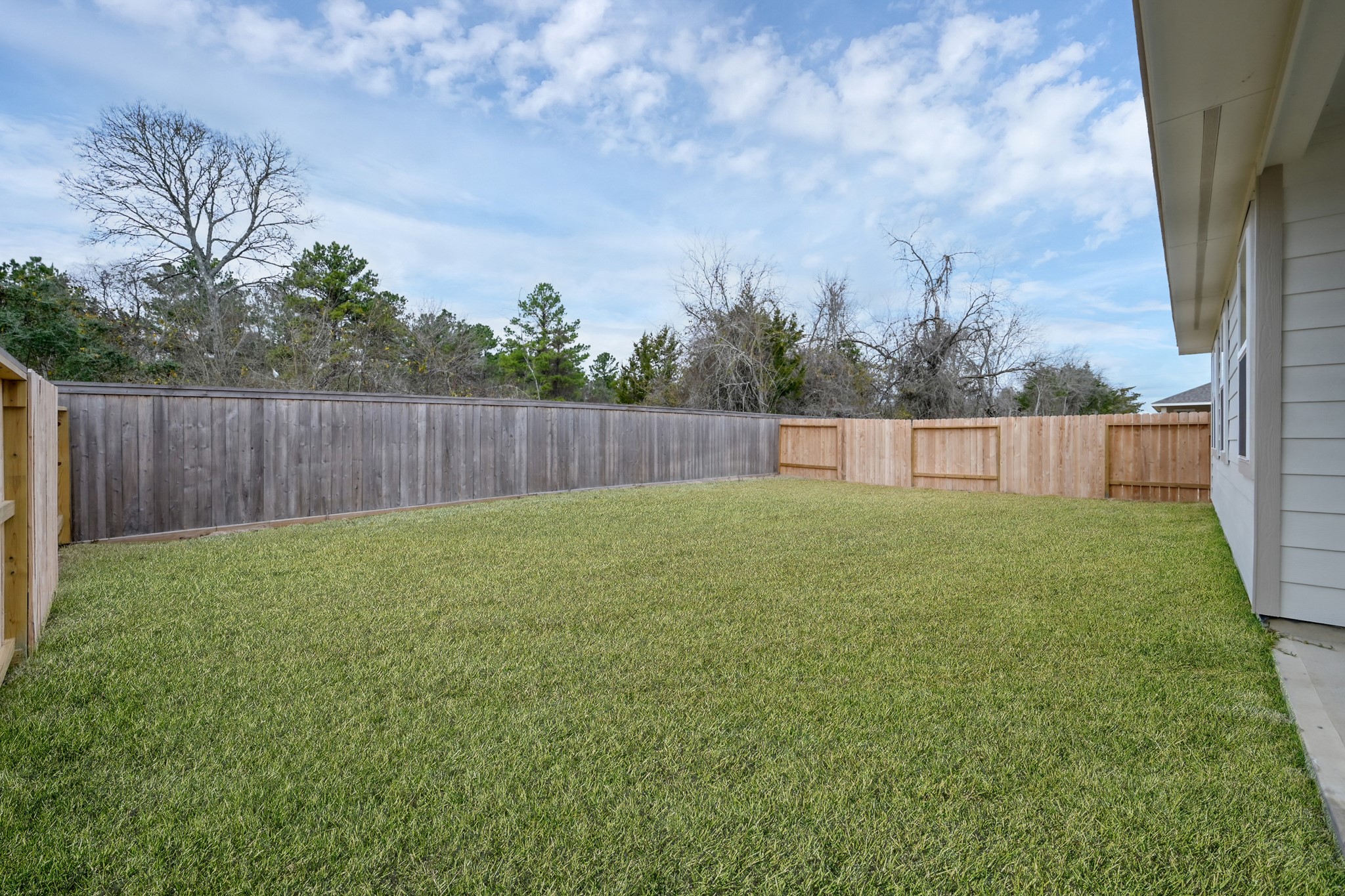 516 Monarch Trail Huntsville, TX 77340 - Photo 19 of 20 a view of a backyard with large tree and wooden fence
