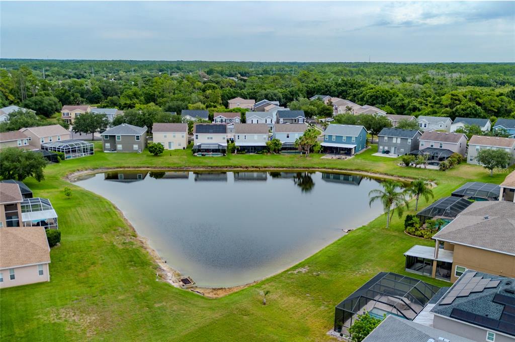 8919 North River Road Tampa, FL 33635 - Photo 22 of 55