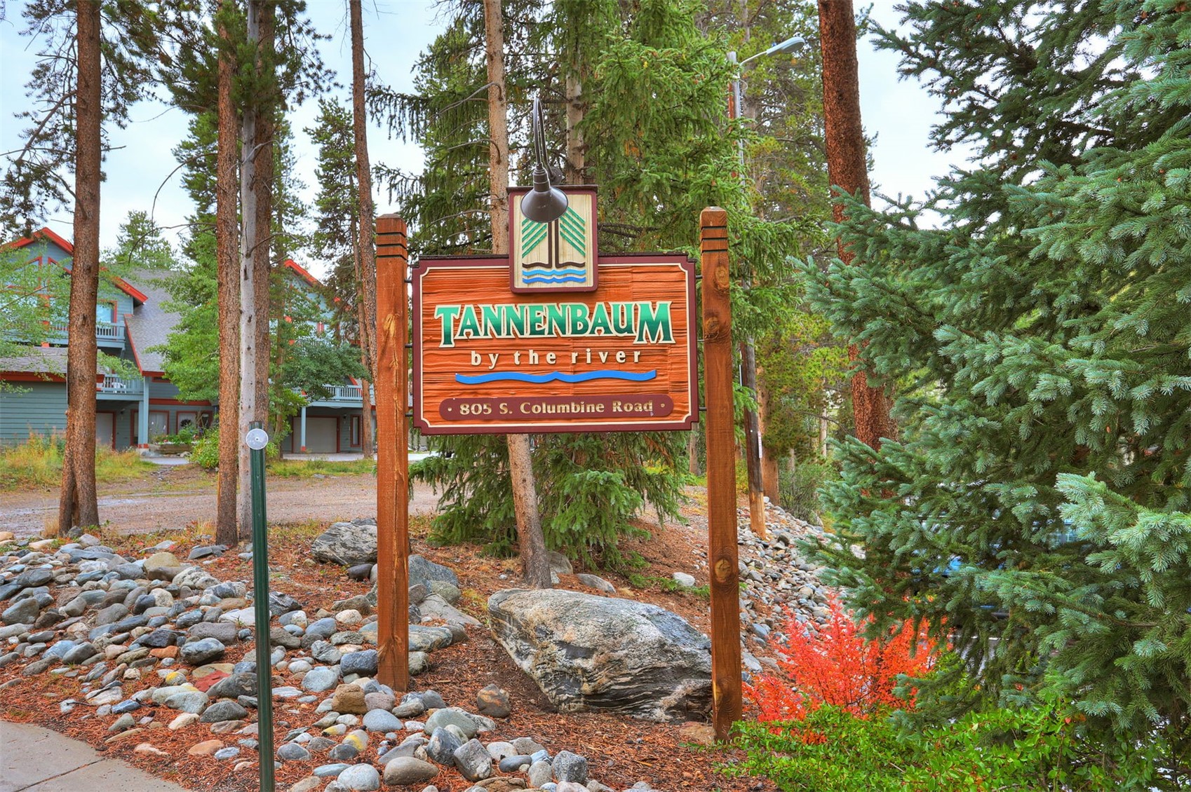 805 Columbine Road, Unit 102 Breckenridge, CO 80424 - Photo 25 of 35