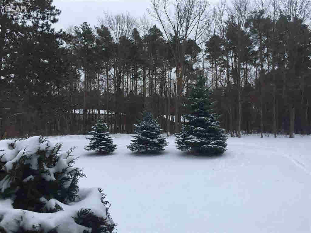 6067 Cyclone Road Otter Lake, MI 48464 - Photo 2 of 42 21404714-1.JPG