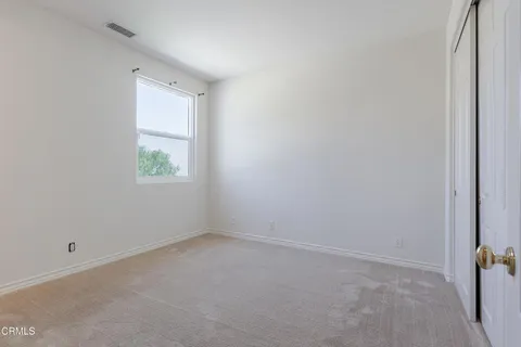 a view of a backyard with potted plants
