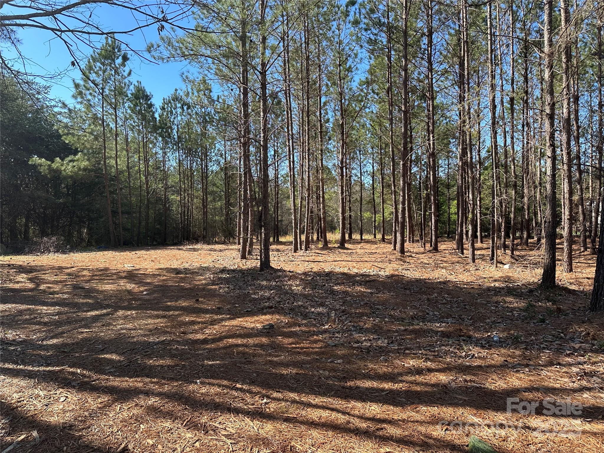 4265 East Maiden Road Maiden, NC 28650 - Photo 1 of 8 Gallery Image 1