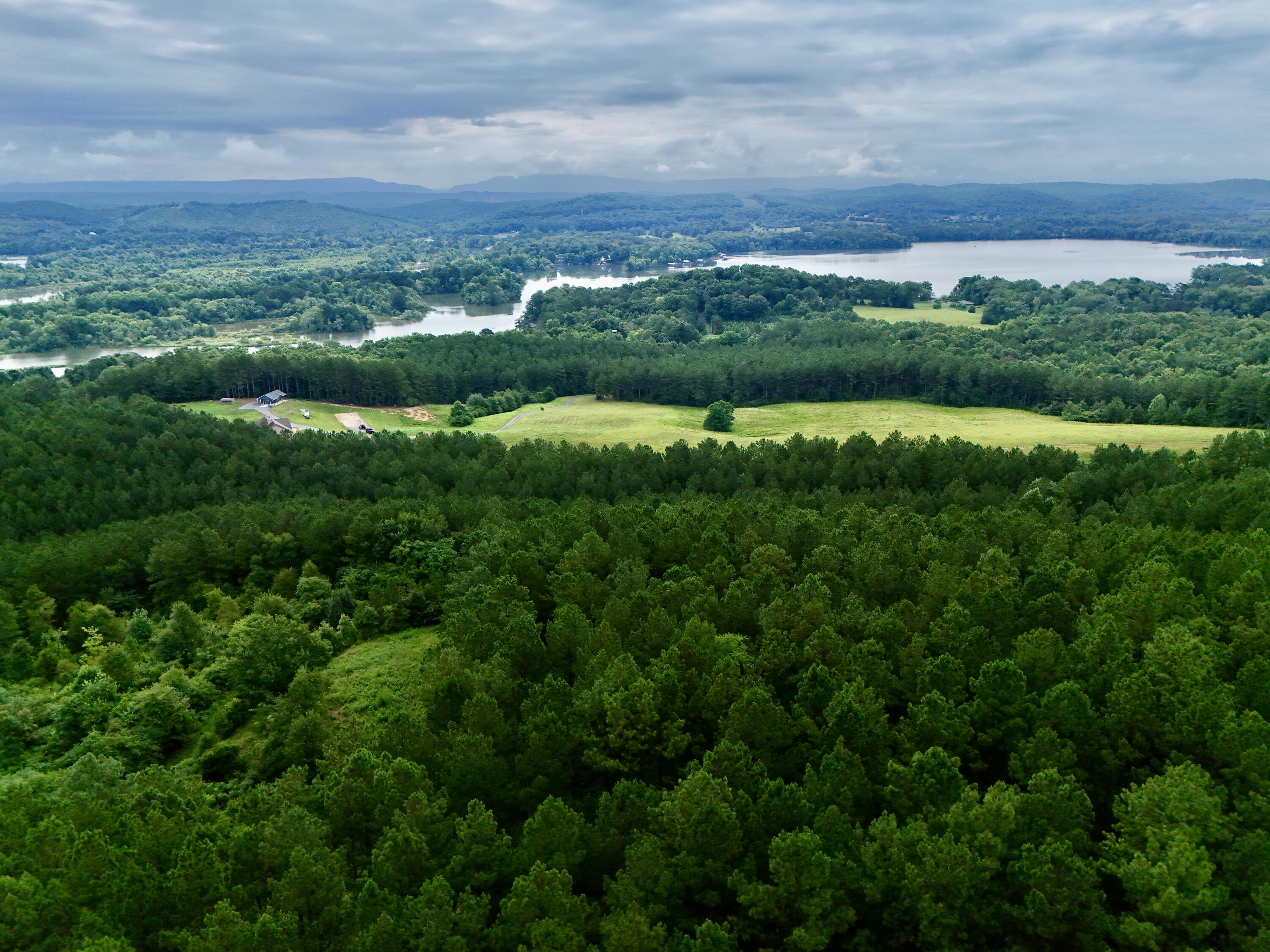 847 Eads Bluff Road Northwest Georgetown, TN 37336 - Photo 2 of 37 967855CB-15C6-4C7E-9D49-F85EB0DDDB10_1_2