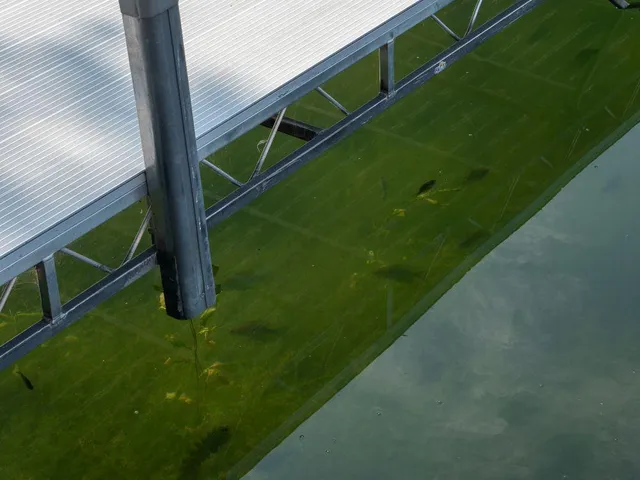 $219,000 | 30424 410th Street, Unit 4 (SHARE 3) CIC #65, Dent, MN 56528