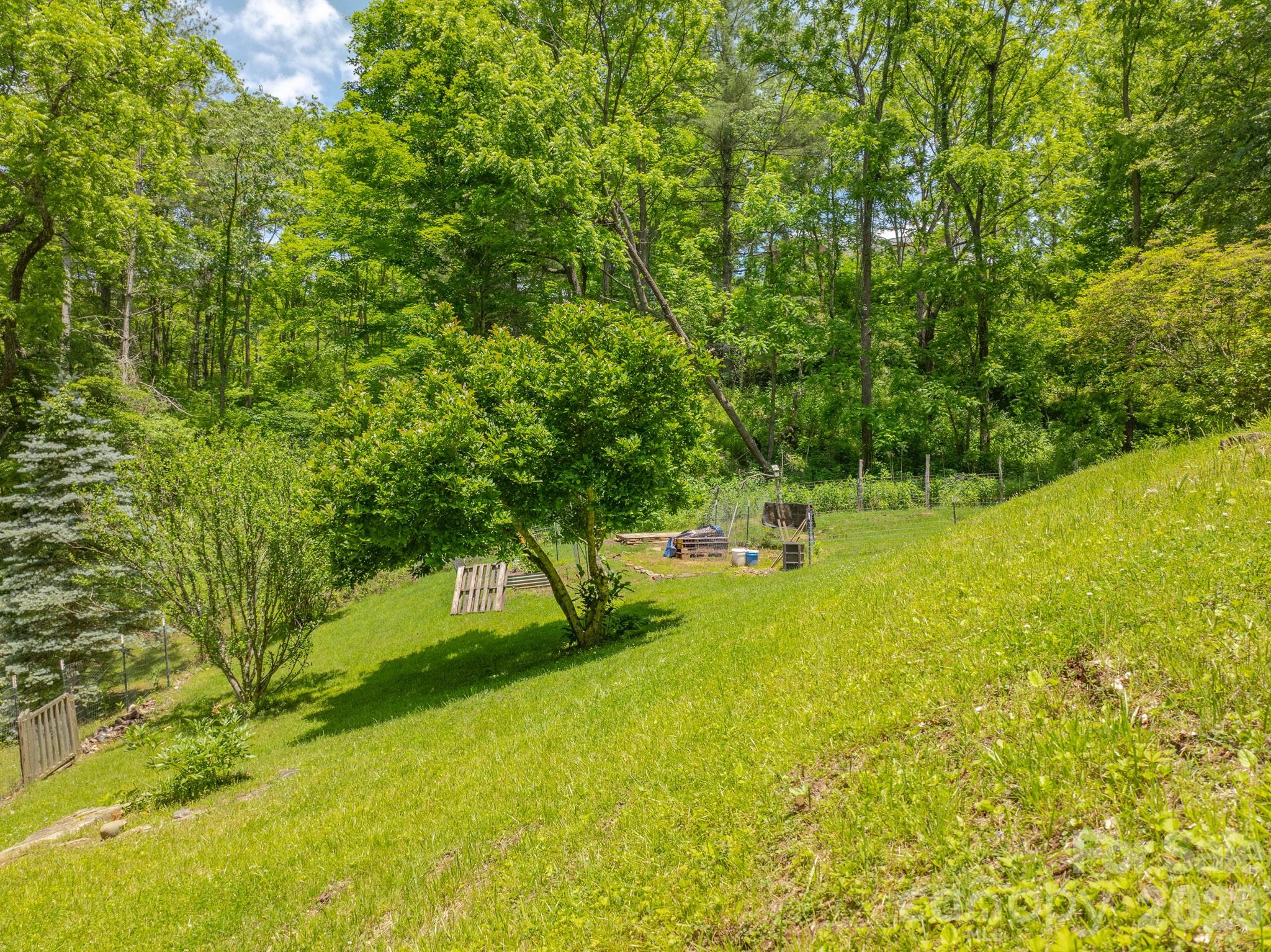 295 Richmond Road Bakersville, NC 28705 - Photo 20 of 33