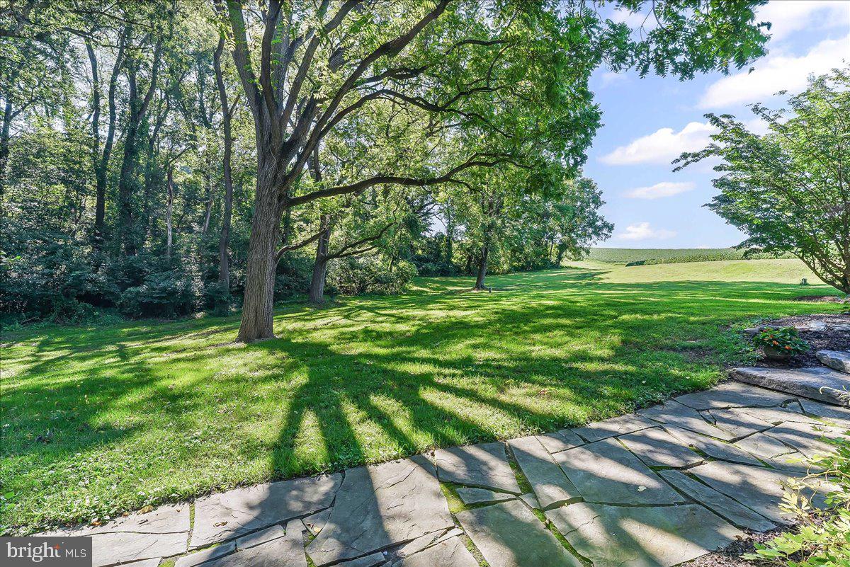 72 East Highland Road Parkesburg, PA 19365 - Photo 5 of 40 View out to field
