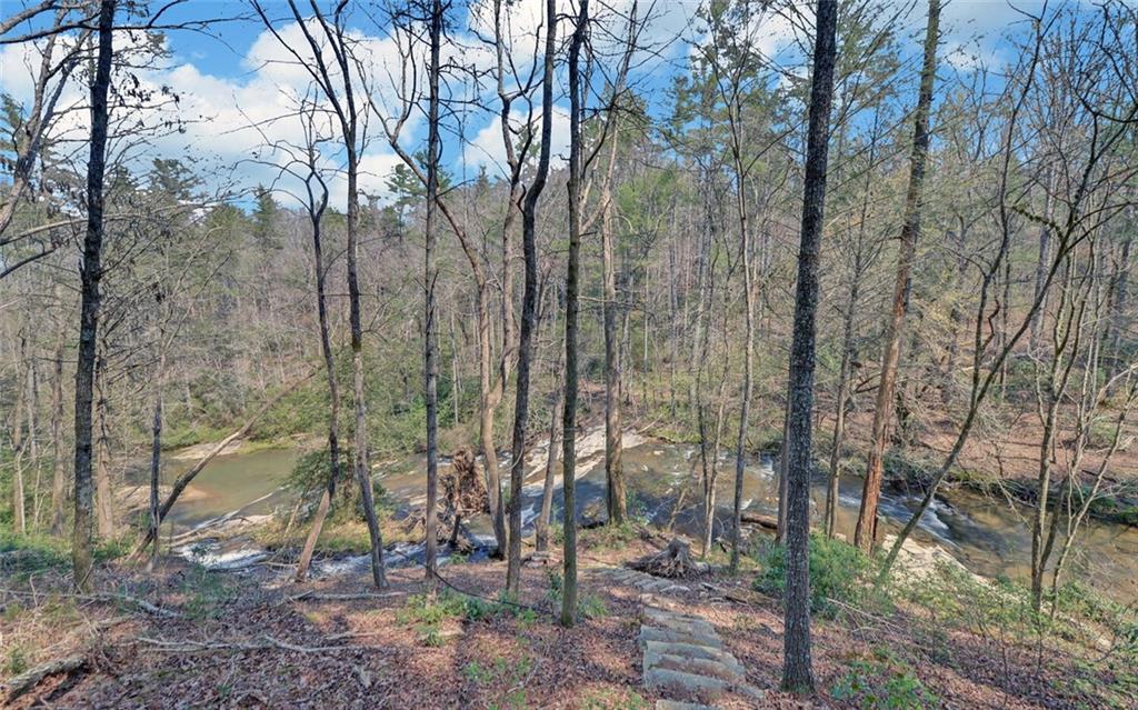 290 Waterfall Drive Cleveland, GA 30528 - Photo 29 of 46 a backyard of a house with lots of green space