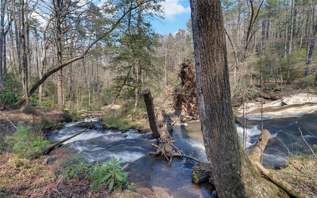 290 Waterfall Drive Cleveland, GA 30528 - Photo 30 of 46 a backyard of a house with lots of green space