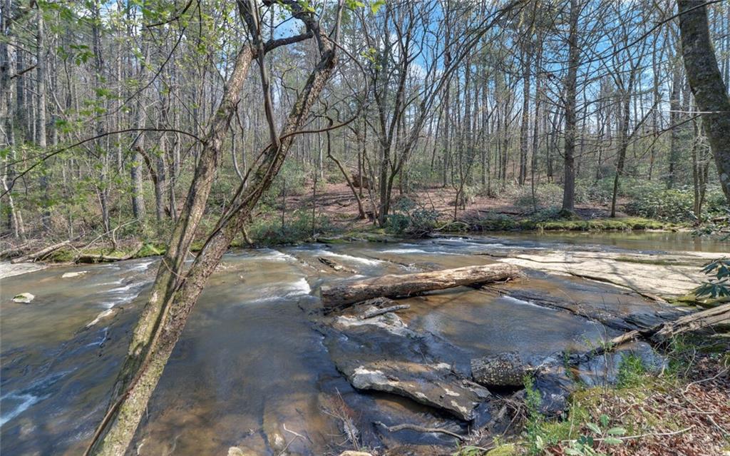 290 Waterfall Drive Cleveland, GA 30528 - Photo 31 of 46 a view of street with large trees
