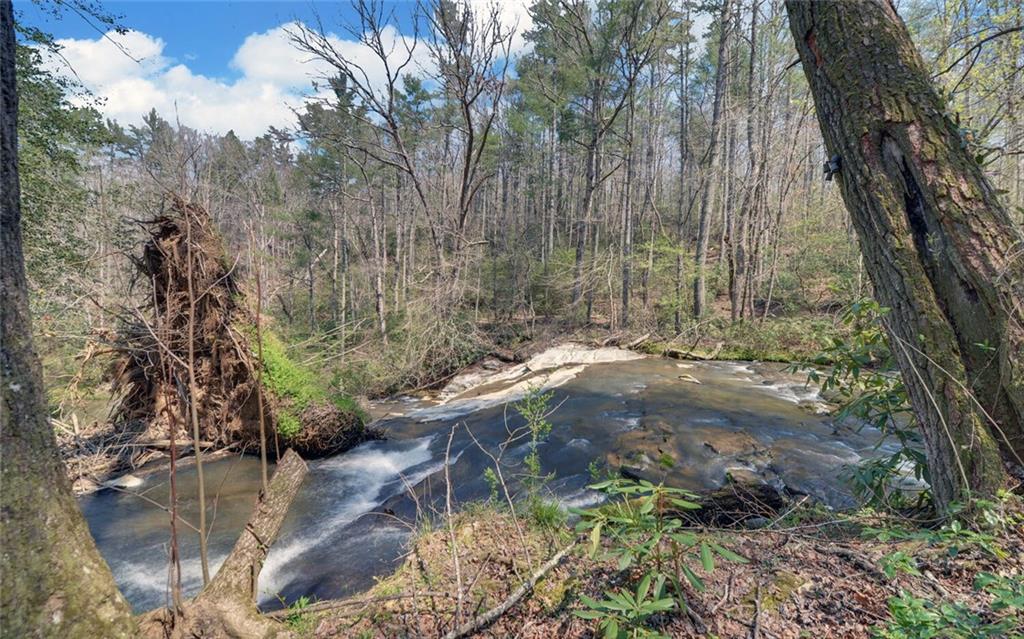 290 Waterfall Drive Cleveland, GA 30528 - Photo 32 of 46 a view of outdoor space and trees