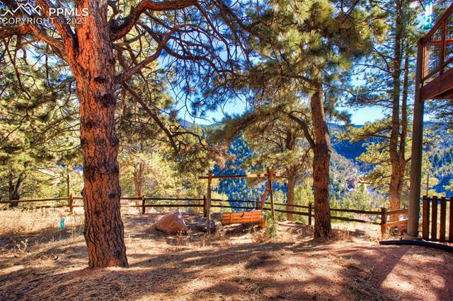 416 Blue Spruce Road Divide, CO 80814 - Photo 44 of 50 Gallery Image 44