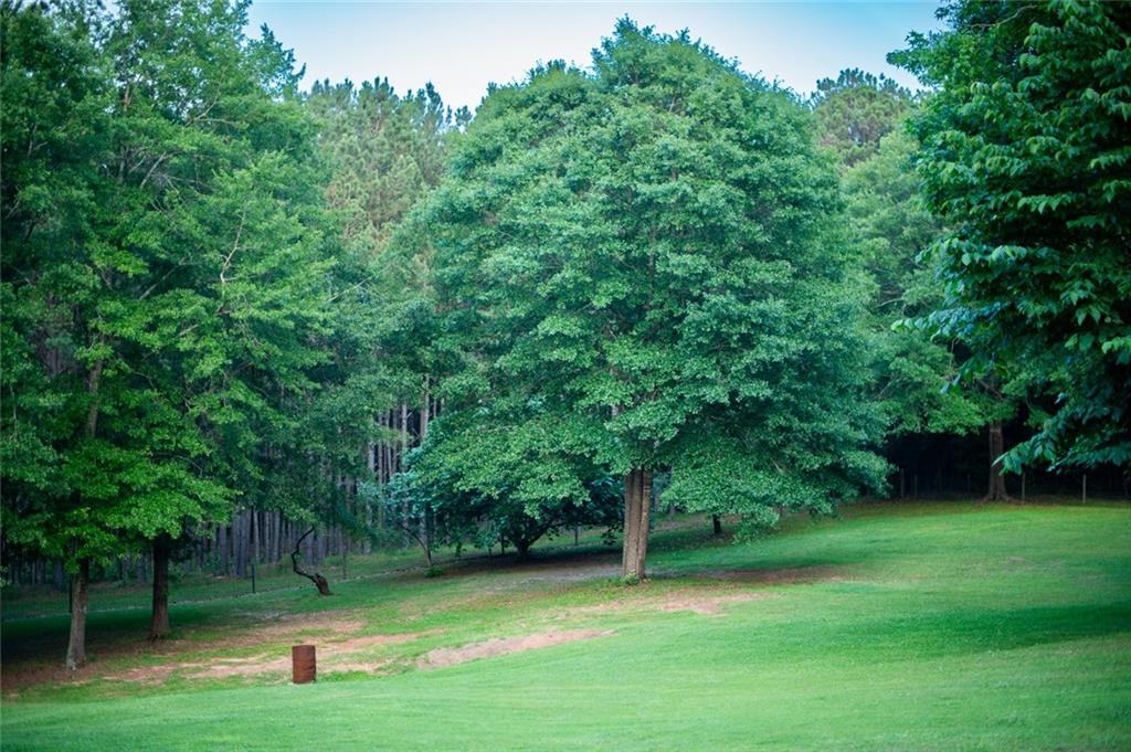360 Parr Farm Road Covington, GA 30016 - Photo 56 of 74