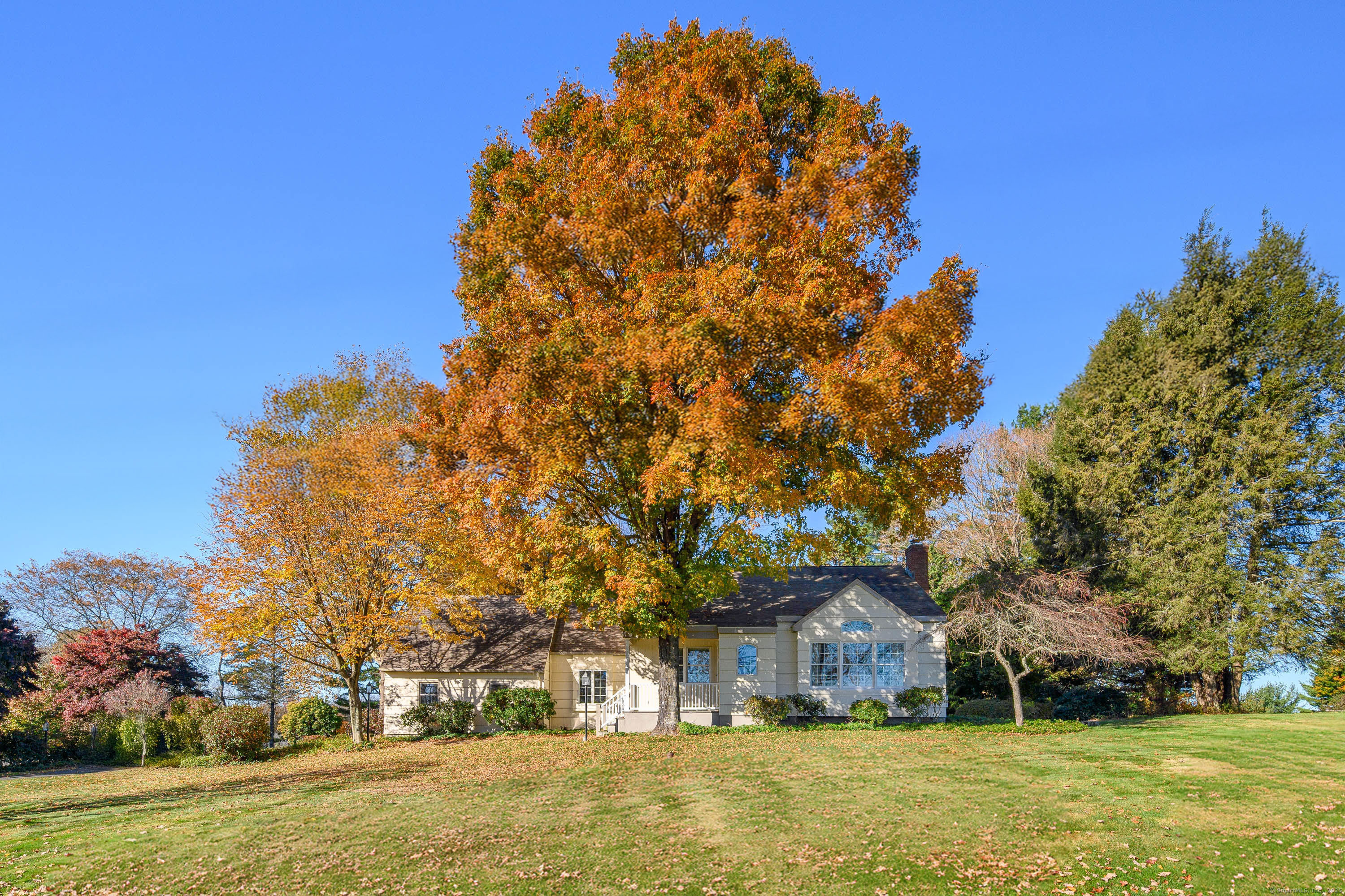 front view of house with a yard