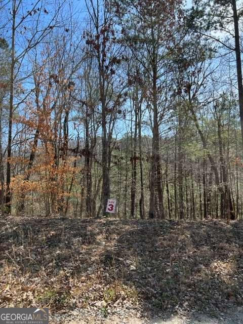 3 Hunter Ridge Ellijay, GA 30540 - Photo 1 of 17 Gallery Image 1