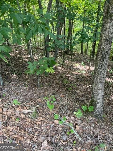 3 Hunter Ridge Ellijay, GA 30540 - Photo 16 of 17 Gallery Image 16