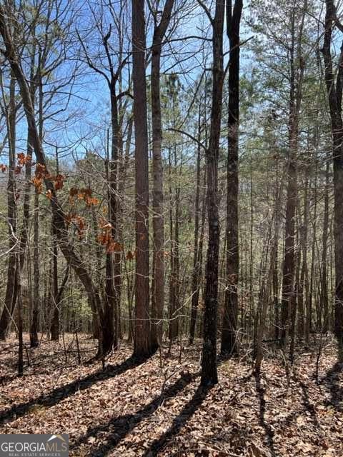 3 Hunter Ridge Ellijay, GA 30540 - Photo 3 of 17 Gallery Image 3