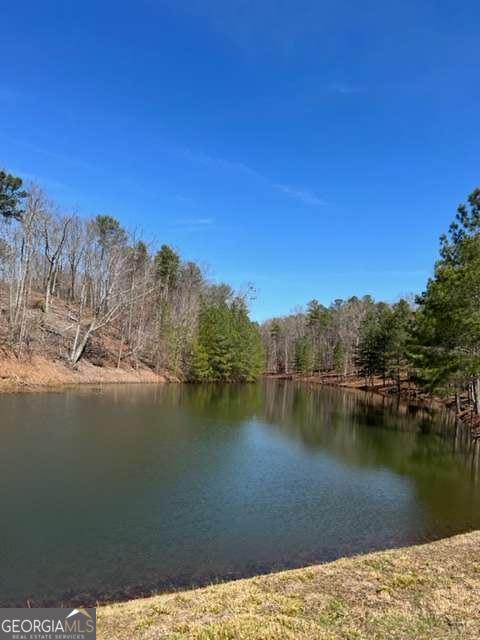 3 Hunter Ridge Ellijay, GA 30540 - Photo 8 of 17 Gallery Image 8