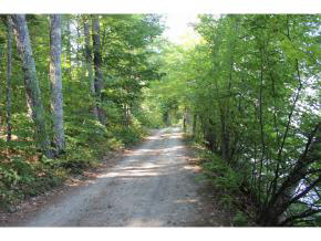 Lot 4 South Shore Road Ossipee, NH 03814 - Photo 8 of 8