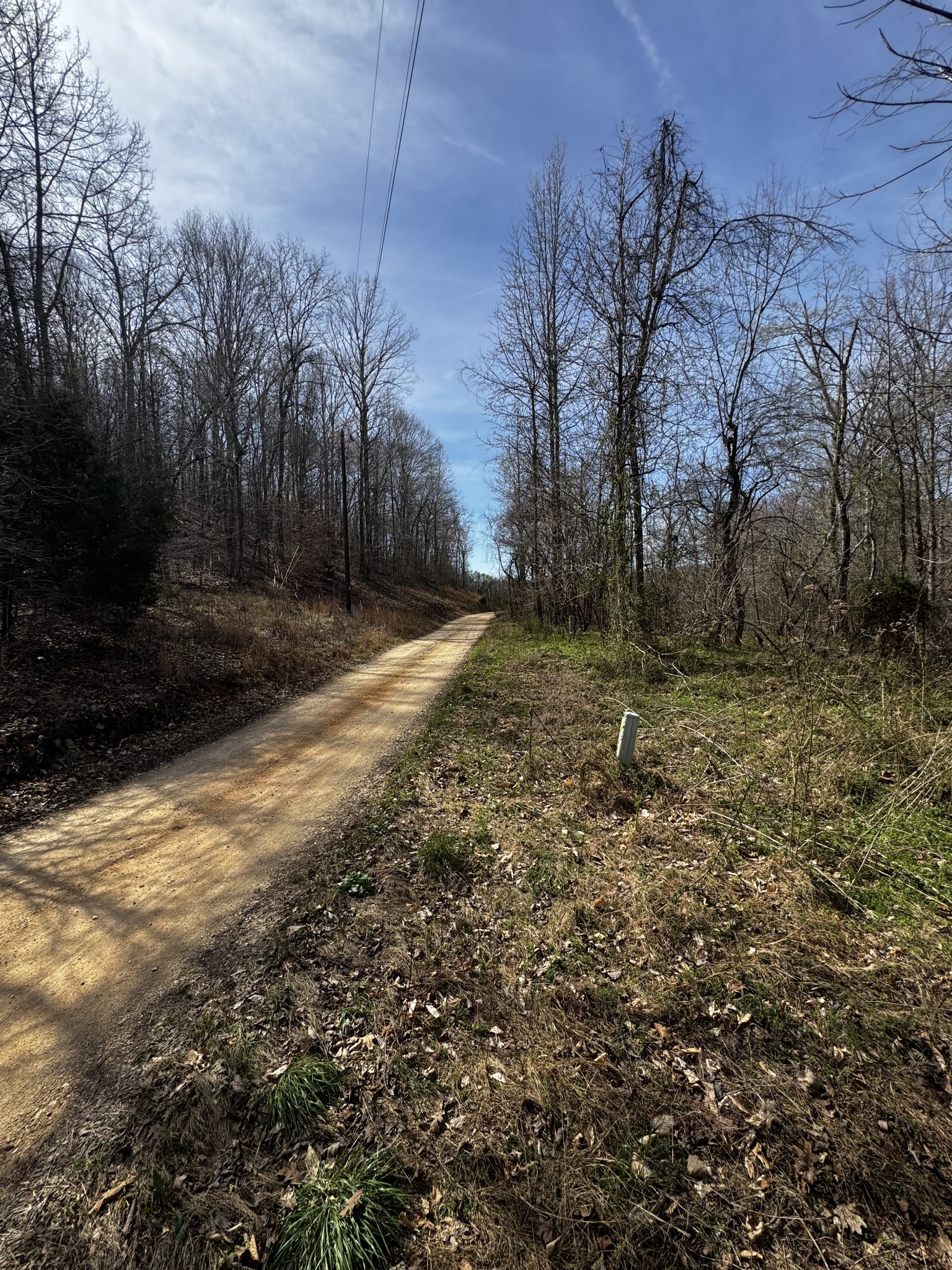 301 Bob Cat Road Linden, TN 37096 - Photo 3 of 13 a view of a yard with trees