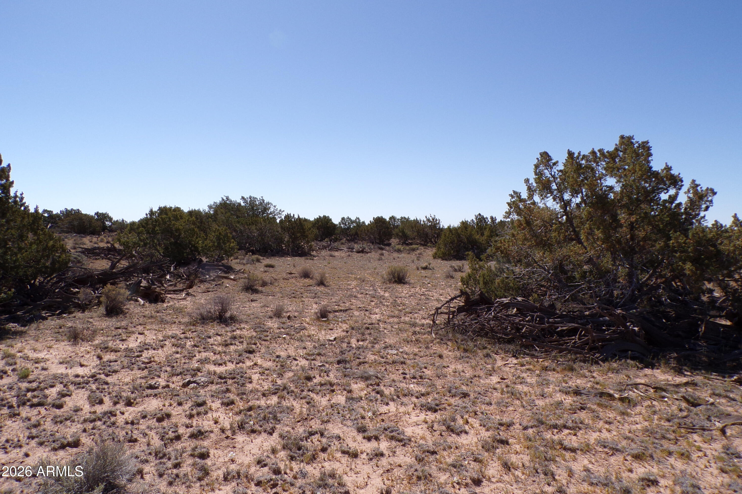 0 Ranch Road Sanders, AZ 86512 - Photo 16 of 42 a view of a dry yard with trees