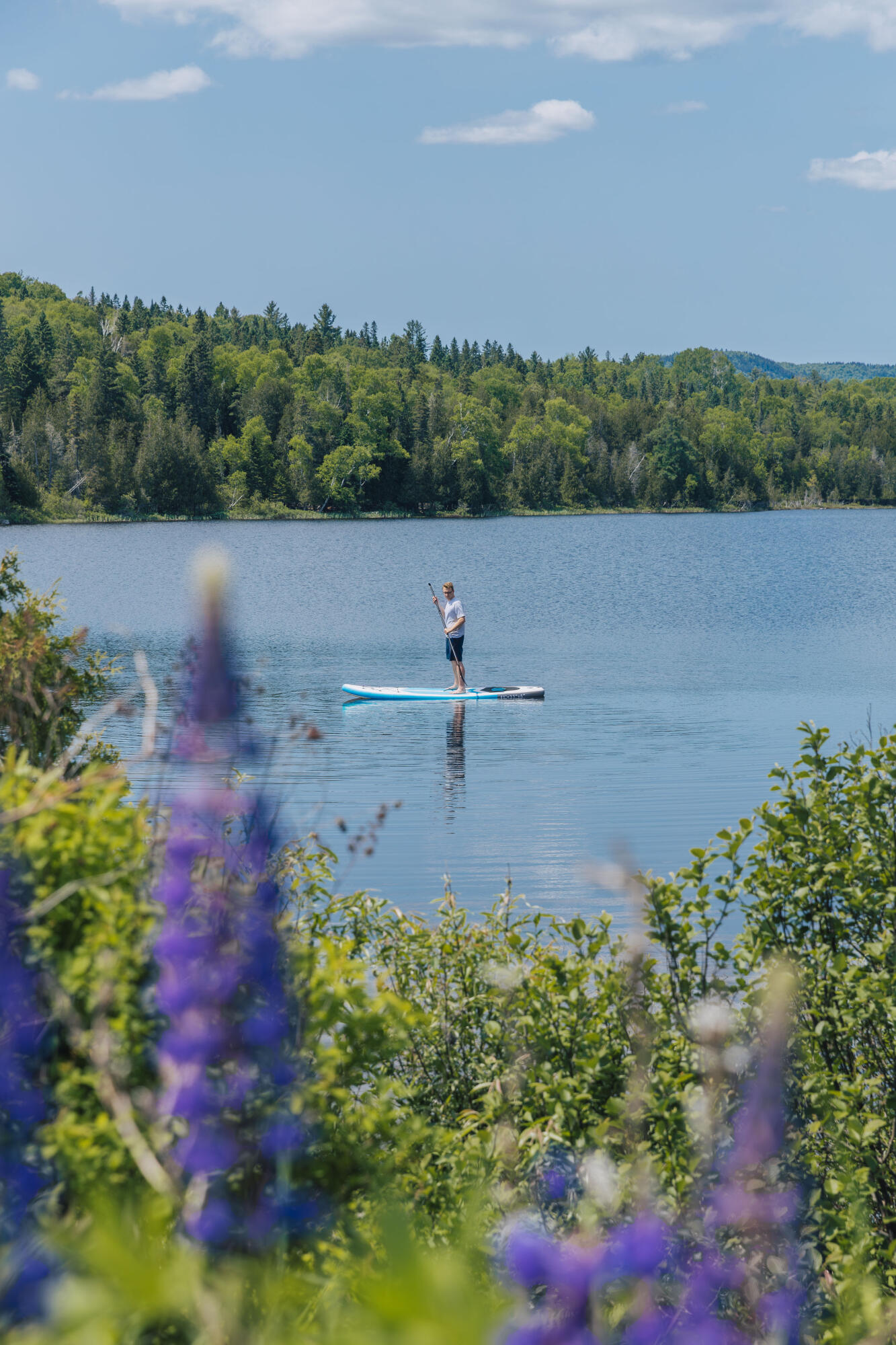 2 Rachel Lane Rangeley, ME 04970 - Photo 13 of 49 Hunter Cove