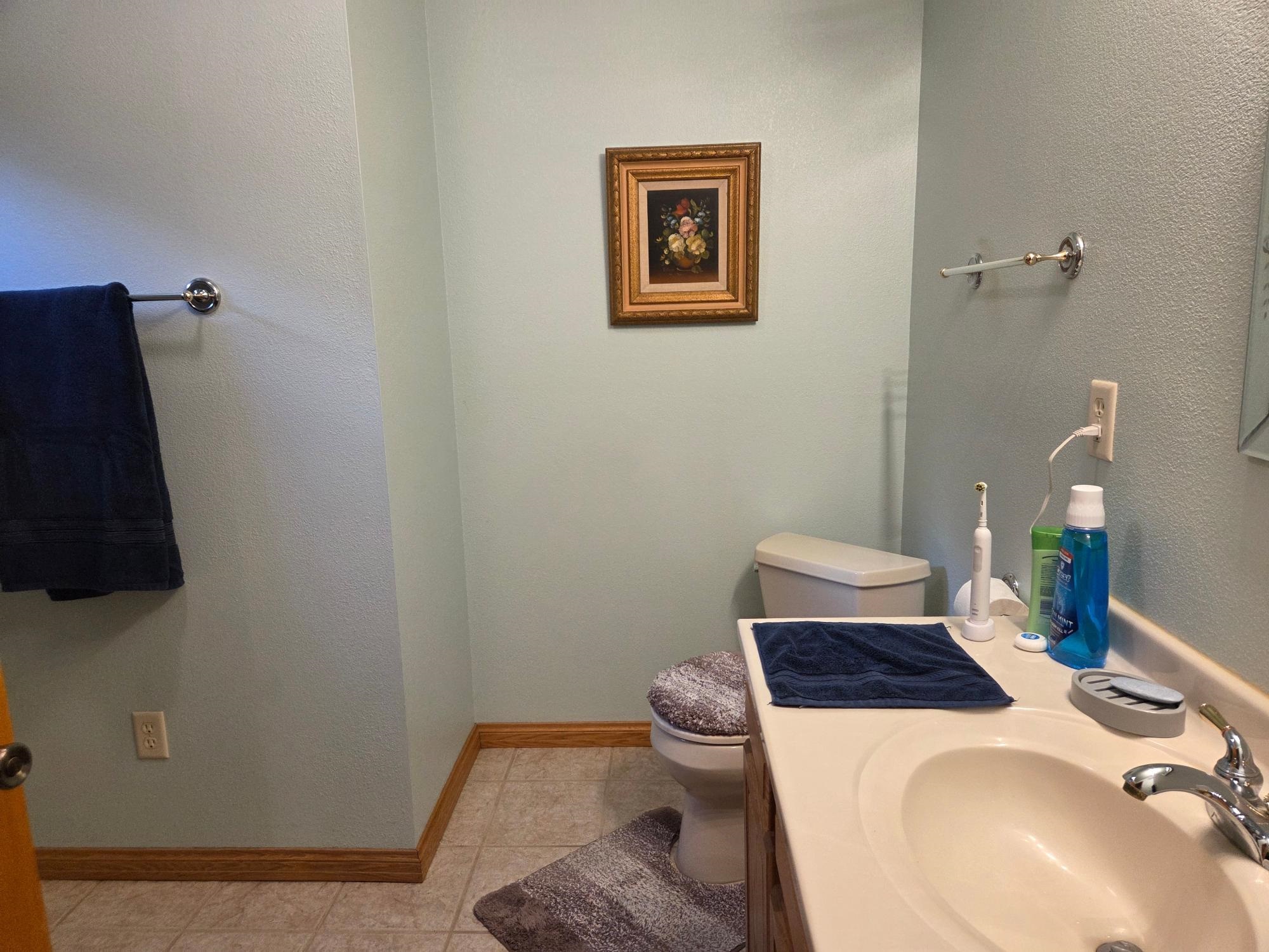 W8656 Silver Birch Road Tomahawk, WI 54487 - Photo 15 of 54