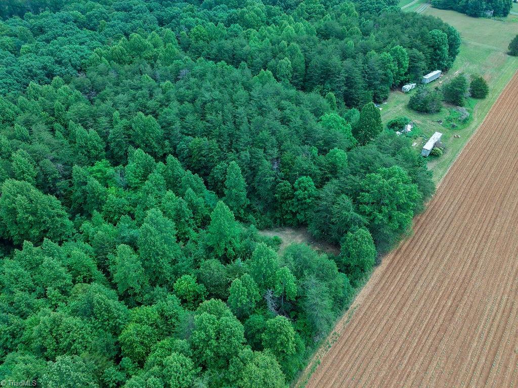 2025 Lace Knoll Road East Bend, NC 27018 - Photo 23 of 42